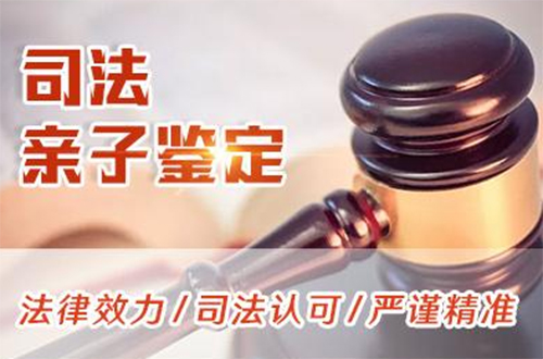 湖州司法DNA亲子鉴定的流程,湖州司法亲子鉴定需要多少钱