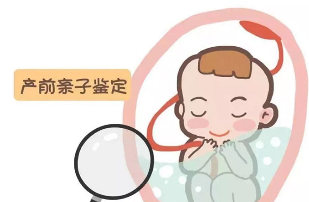 湖州怀孕16周如何做无创孕期亲子鉴定,在湖州做无创孕期亲子鉴定怎么收费